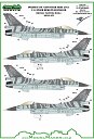 1/32 Polish F-16C NATO Tiger Meet mask and decals