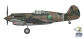 Curtiss Hawk 81-A2 P-8182, flown by Greg 