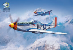 P-51 Mustang™