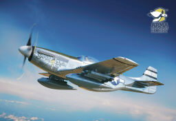 P-51 Mustang™