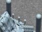 82026  P-51D/K Mustang Details Set 1/72 3D-Print - 3