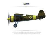 40001-A4-4 PZL P.11c - poster