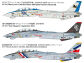 F-14 D markings options
