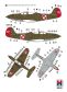 H2K48046 P-39Q/N Airacobra Eastern Front (Hasegawa + Cartograf)! - 4