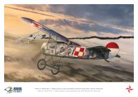 70012-A3 Fokker E.V - poster