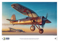 40001-A4 PZL P.11c - poster A4