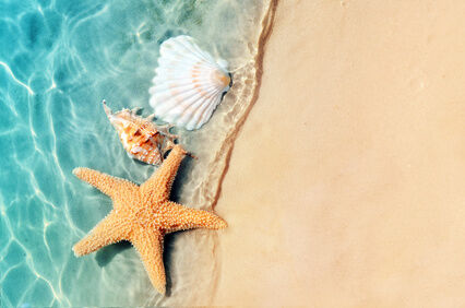 Summer Holidays in  Arma Hobby
